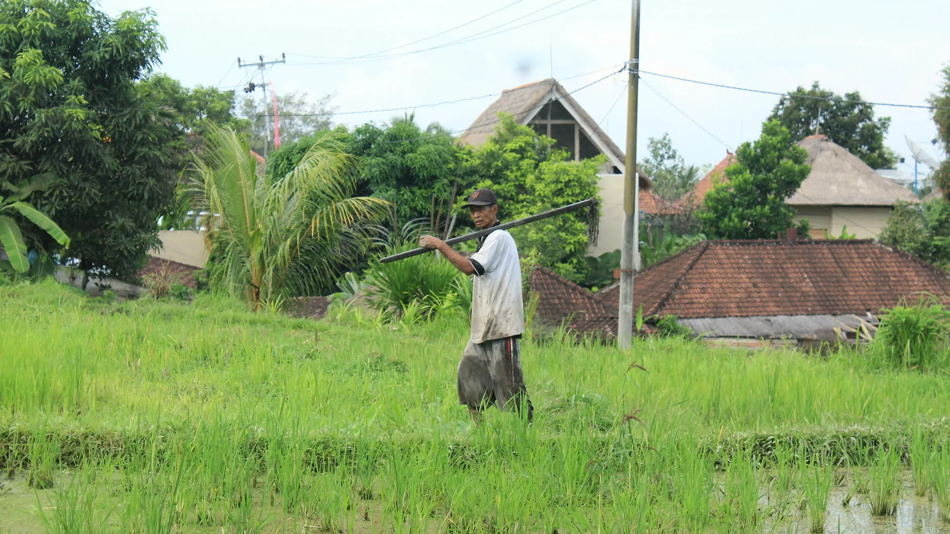 Pondok Permata Homestay Ubud  0*, Ubud (Bali) Indonesia