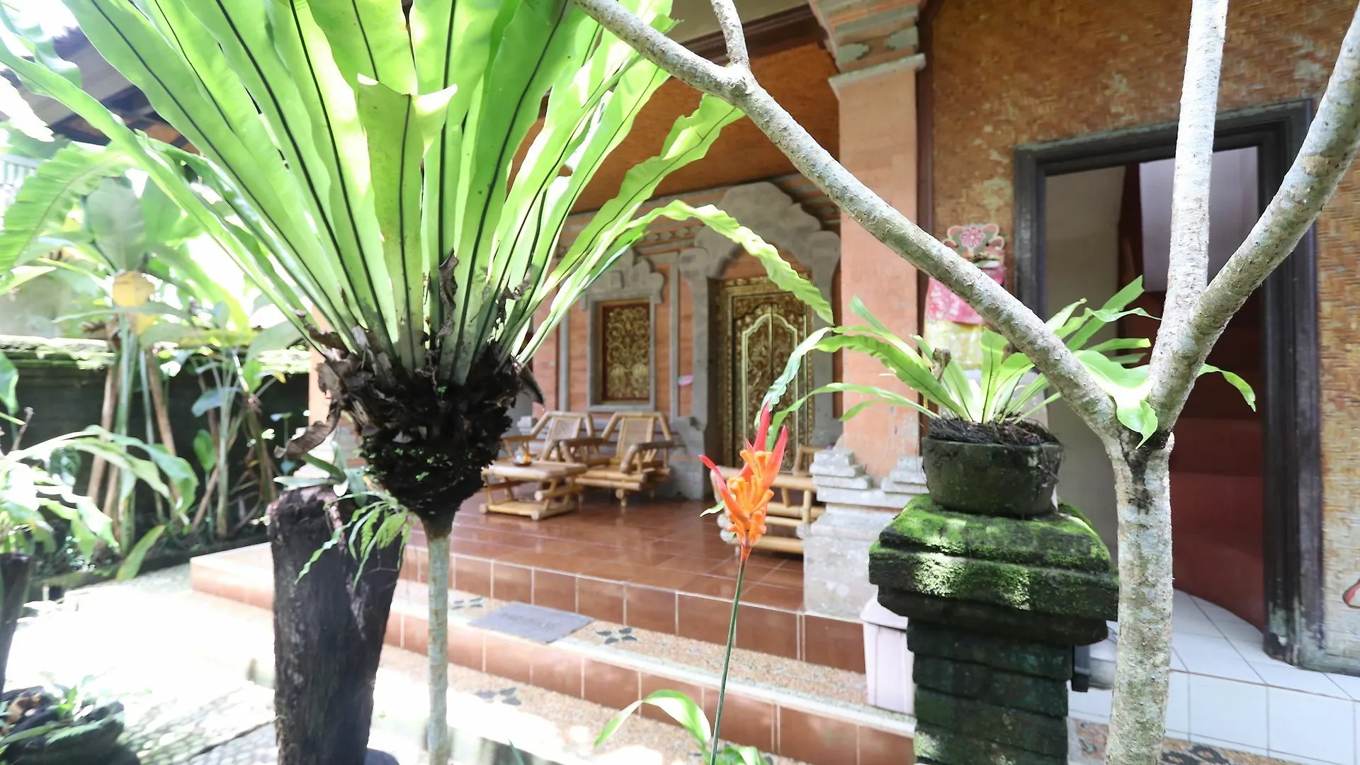 Guest house Pondok Permata Homestay Ubud  Indonesia