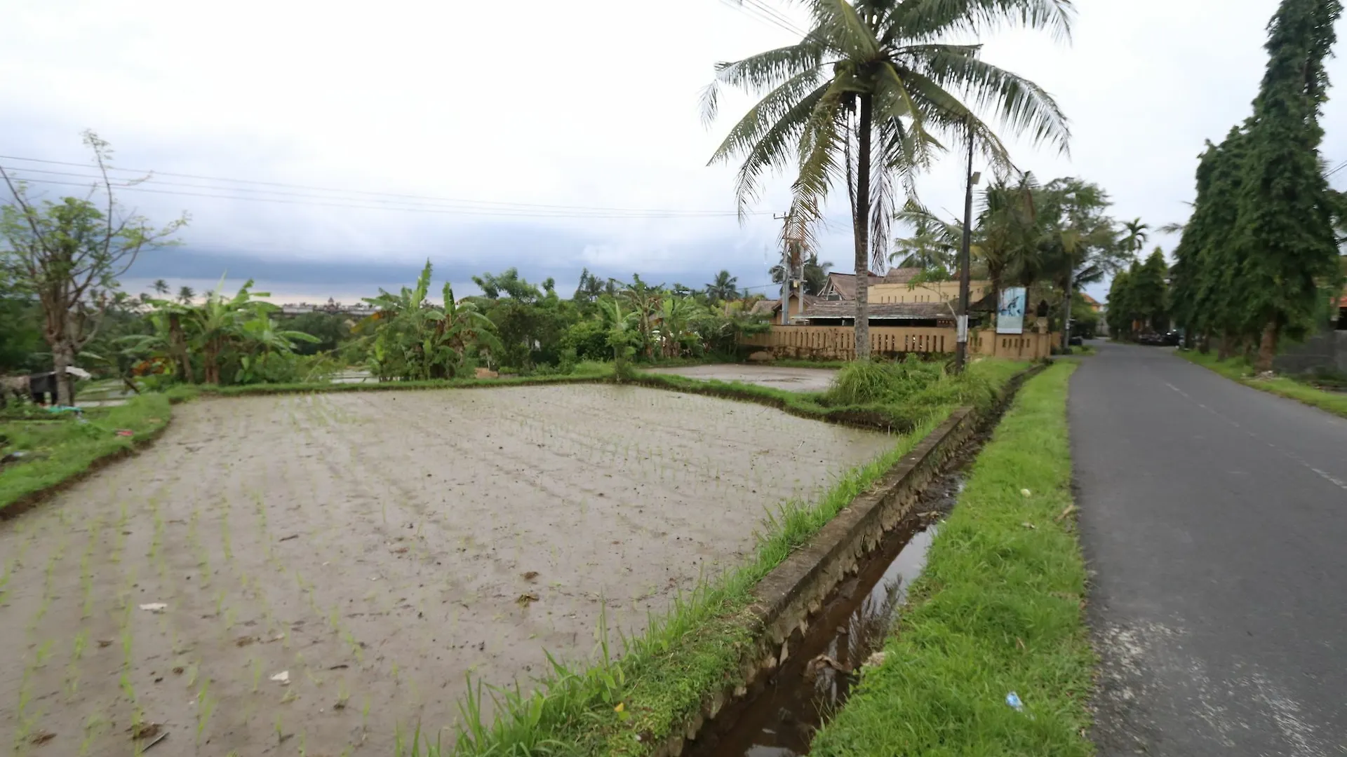 Pondok Permata Homestay Ubud Casa de hóspedes